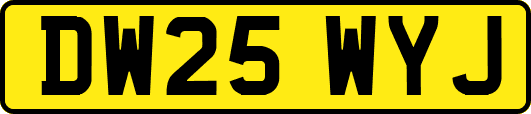 DW25WYJ