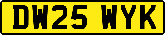 DW25WYK