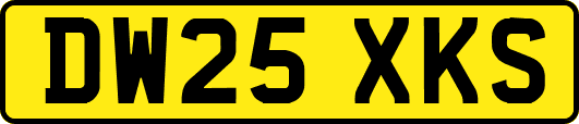 DW25XKS