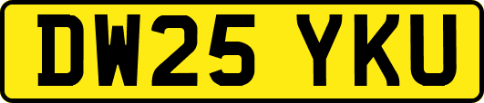 DW25YKU