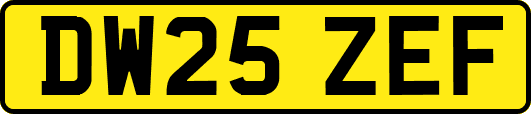 DW25ZEF