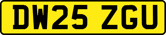 DW25ZGU