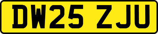 DW25ZJU