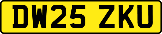 DW25ZKU
