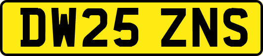 DW25ZNS