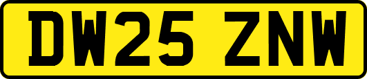 DW25ZNW