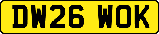 DW26WOK
