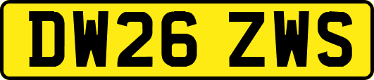 DW26ZWS