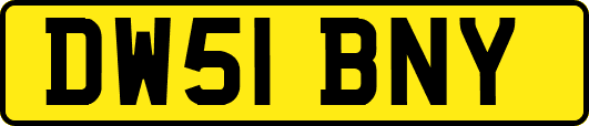 DW51BNY