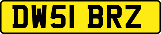 DW51BRZ
