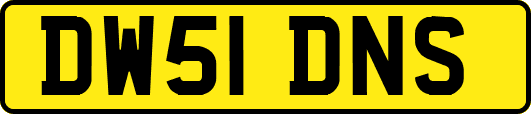 DW51DNS