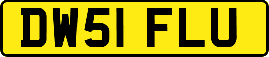 DW51FLU