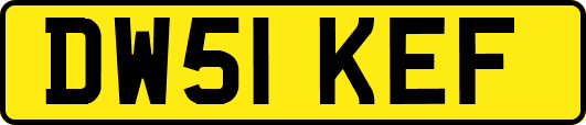 DW51KEF