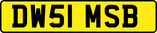 DW51MSB