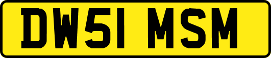 DW51MSM