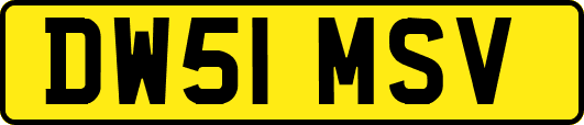 DW51MSV