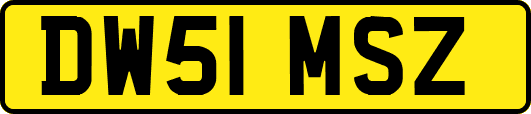 DW51MSZ