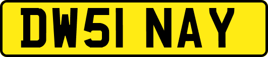 DW51NAY