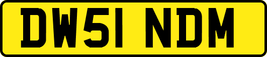 DW51NDM