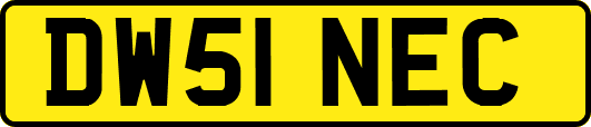 DW51NEC
