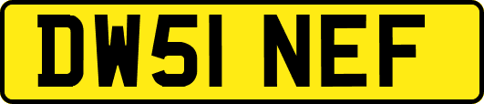 DW51NEF