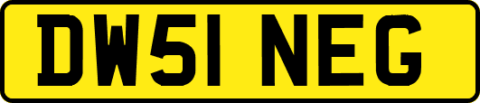 DW51NEG