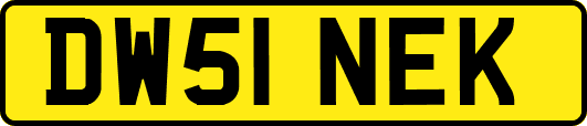 DW51NEK