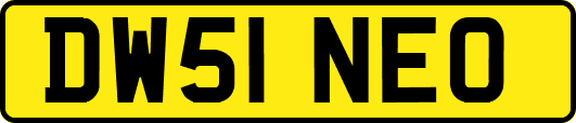 DW51NEO