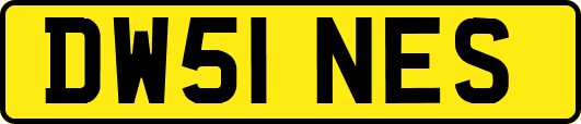 DW51NES