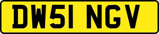 DW51NGV