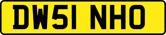 DW51NHO