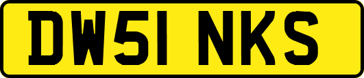 DW51NKS