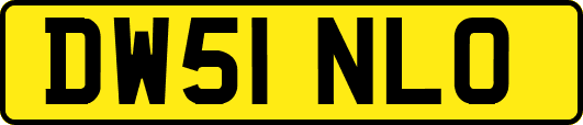DW51NLO