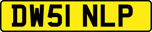 DW51NLP