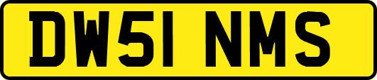 DW51NMS