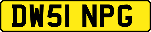 DW51NPG