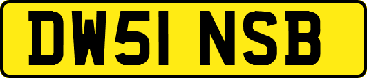 DW51NSB