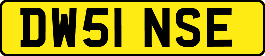 DW51NSE