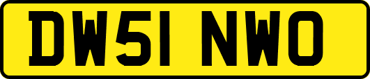 DW51NWO