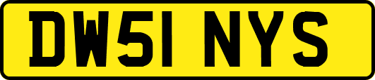 DW51NYS