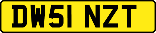 DW51NZT