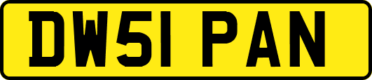 DW51PAN