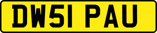 DW51PAU