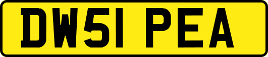 DW51PEA