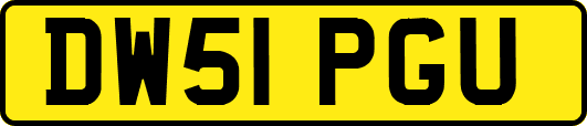 DW51PGU