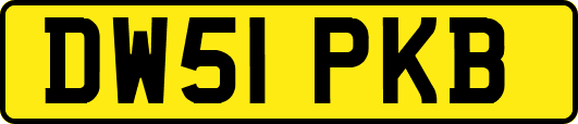 DW51PKB