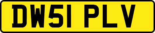DW51PLV
