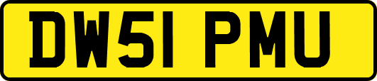 DW51PMU