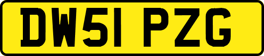 DW51PZG