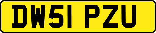 DW51PZU